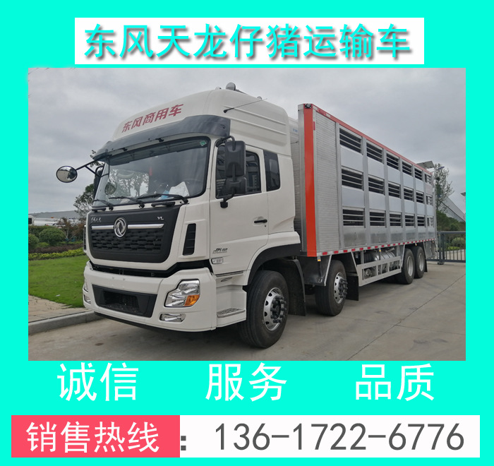 東風天龍畜禽運輸車 CLW5310CCQD5型東風天龍前四后八仔豬運輸車