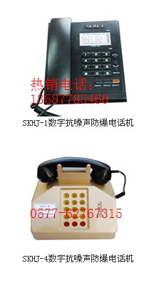 SKCZ-1數(shù)字抗噪聲防爆程控擴音電話站SKHJ-1數(shù)字抗噪聲防爆電話機