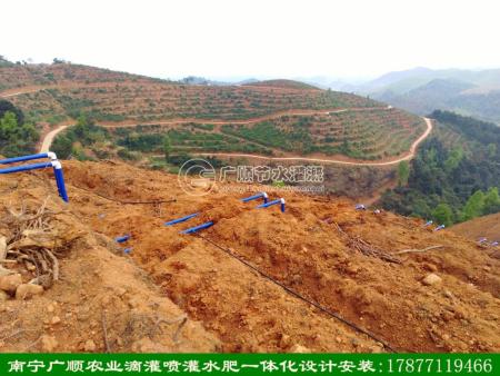 廣西山地使用微噴灌水肥一體灌溉已成趨勢