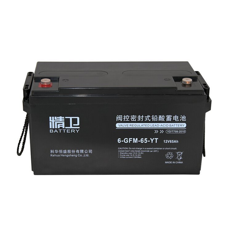 精衛(wèi)蓄電池6-GFM-65-YT 12V65AH直流屏EPS電源用后備蓄電瓶