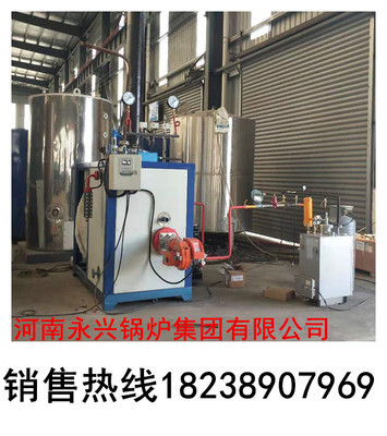 河南永興鍋爐集團供應300公斤立式生物質(zhì)蒸汽發(fā)生器 電加熱蒸汽發(fā)生器