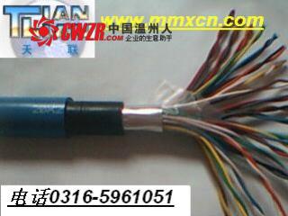 HYYC 通信電纜 HCJVVP22；HCJVV22（程控局用交換機(jī)電