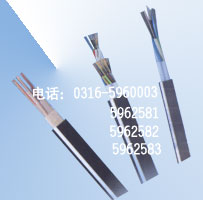 安徽局用對(duì)稱通信電纜生產(chǎn)，安徽HPVV HYV，安徽局用對(duì)稱電纜銷售