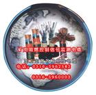 邢臺本安計(jì)算機(jī)電纜廠家，邢臺本安防爆計(jì)算機(jī)電纜，邢臺本安計(jì)算機(jī)電纜銷售，