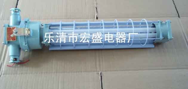 DGS20/127Y(T)  礦用熒光燈 宏盛電器