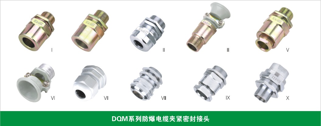 DQM防爆電纜夾緊密封接頭