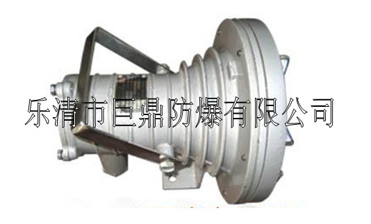 DGC24/127L（A）礦用隔爆型LED投光燈，礦用LED投光燈，24W投光燈