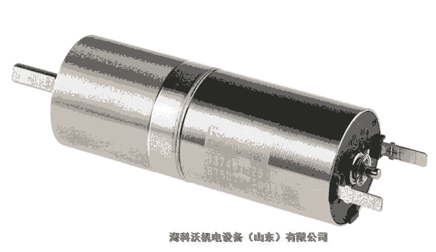 半導體行業(yè)專用配件電機MAXON motor110044瑞士原裝現(xiàn)貨可定制選