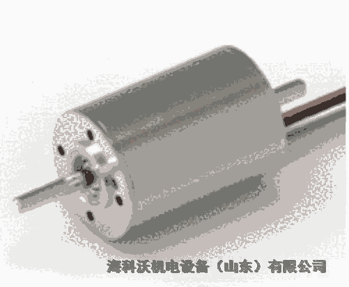 ASML阿斯瑪光刻機(jī)電機(jī)maxon motor619301原裝現(xiàn)貨可定制選型