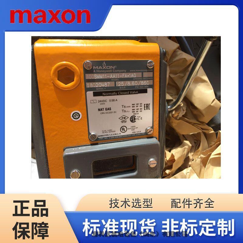 MAXON284597 bestehend aus 242126+338581+11051