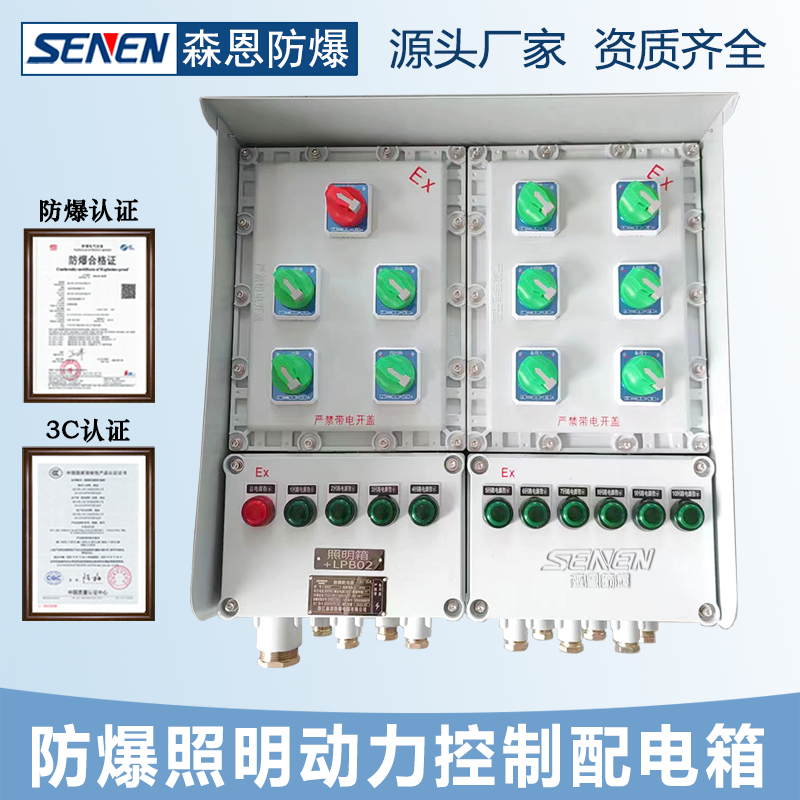 森恩防爆控制箱碳鋼焊接電控制箱檢修電源開關(guān)箱