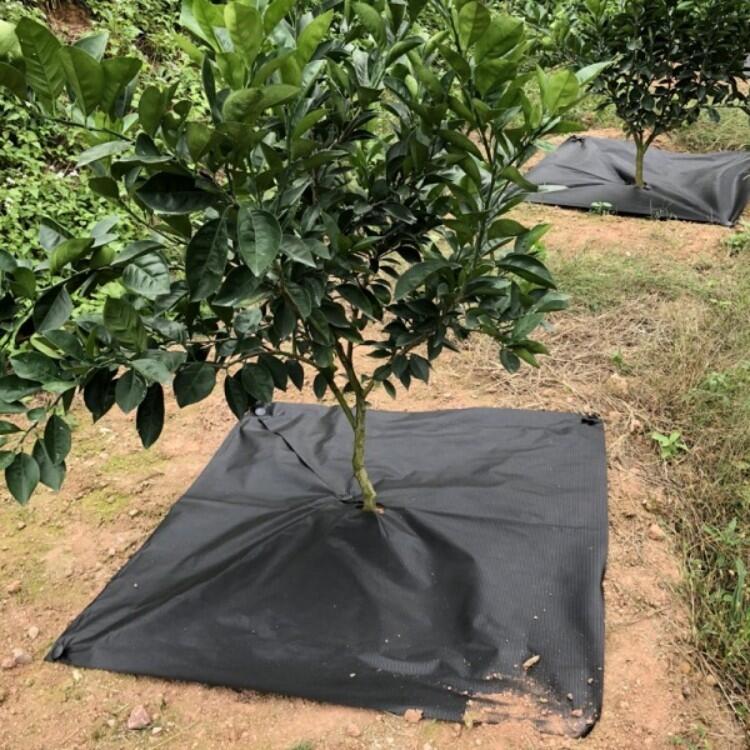 鹽城果園除草布的使用成本黑色防草布廠家防草布價格土工布防水板廠家