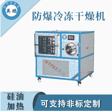 南京工業(yè)防爆風冷式凍干機