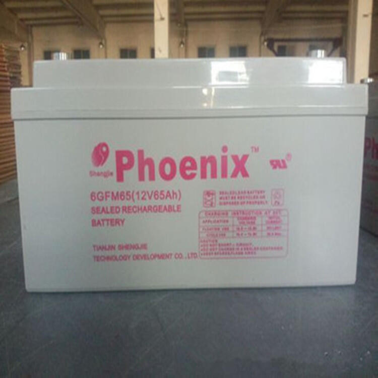 Phoenix鳳凰蓄電池KE1224012V24Ah直流屏電池