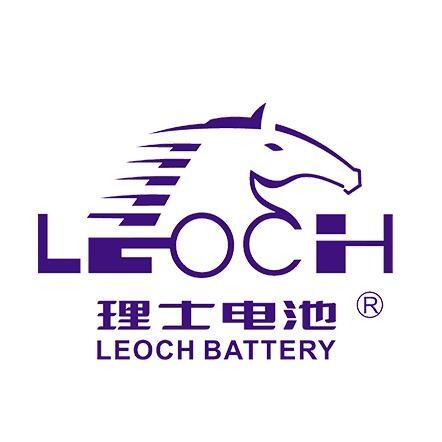 理士LEOCH蓄電池DJM1265S 12V65AH閥控式鉛酸免維護