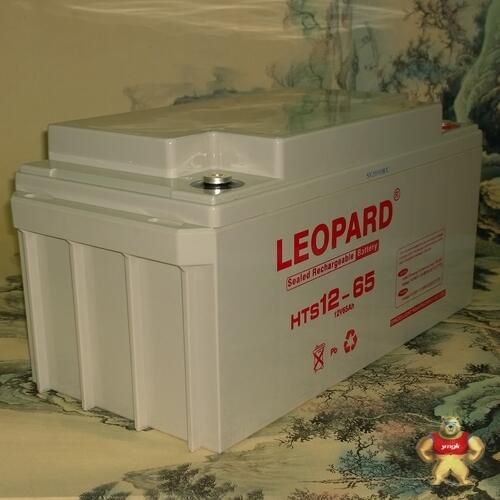 美洲豹LEOPARDHTS12-17/12V17AH蓄電池機(jī)房電柜