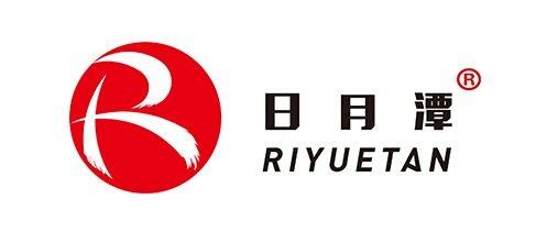 日月潭RS12-125蓄電池基站建設(shè)