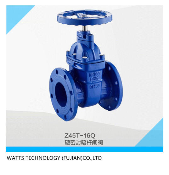 外資沃茨閥門(mén)DN100硬密封暗桿閘閥
