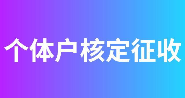  杭州個(gè)體戶核定 杭州核定 降低綜合稅負(fù)