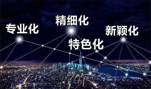 全國“專精特新”的數(shù)量和分布是怎樣的？