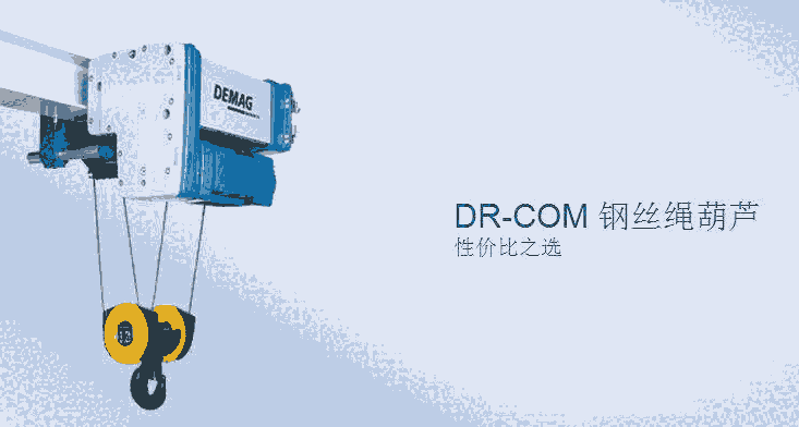 優(yōu)勢供應(yīng) 德馬格 DEMAG 導(dǎo)鏈器 DC-COM5