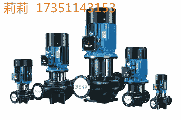 長(zhǎng)沙南方泵業(yè)  TD80-32G/2   廠家直銷