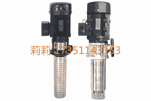 張家界南方泵業(yè)   CDLK3-170/17  廠家直銷(xiāo)