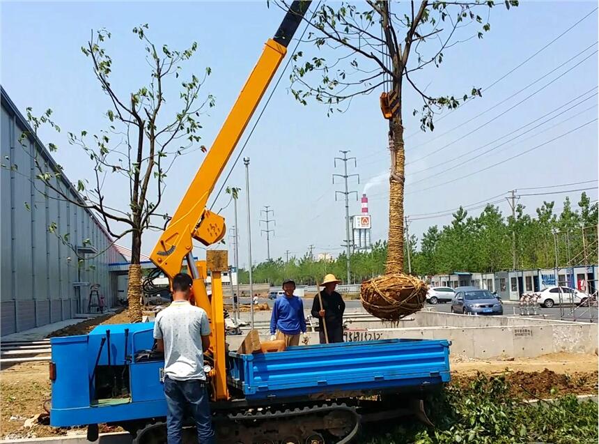 履帶式小吊車多少錢一臺