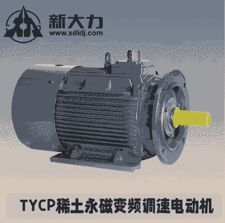 永磁電機  TYCP 新大力 變頻調(diào)速電機 廠家直銷