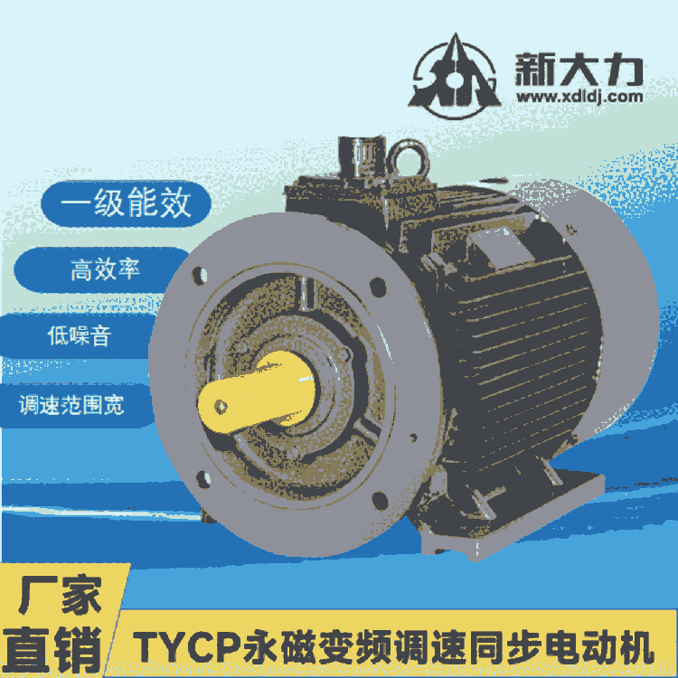 新大力電機(jī) 一級(jí)能效 稀土永磁變頻同步電動(dòng)機(jī) TYCP250M-8-110KW 永磁電機(jī)