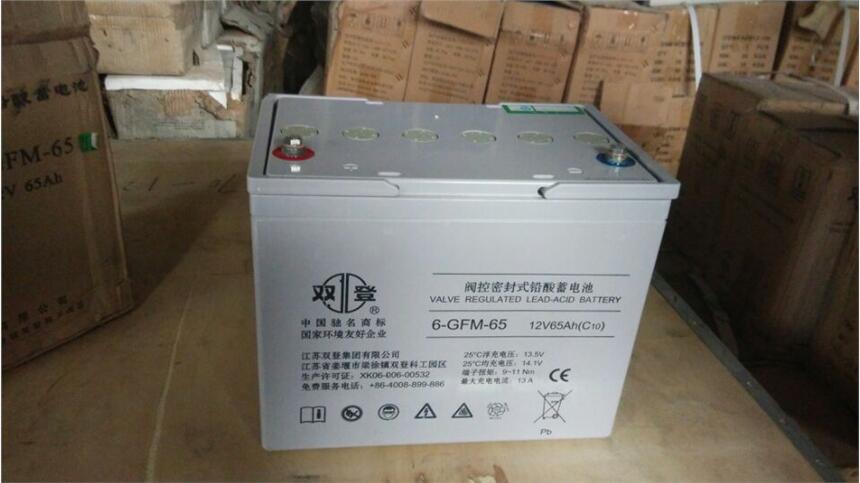 SHUANG登蓄電池6-GFM-65 12v65ah