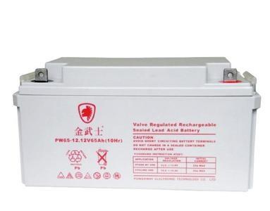 金武士蓄電池PW65-12 12V65AH/10HR UPS/直流屏 免維護鉛酸