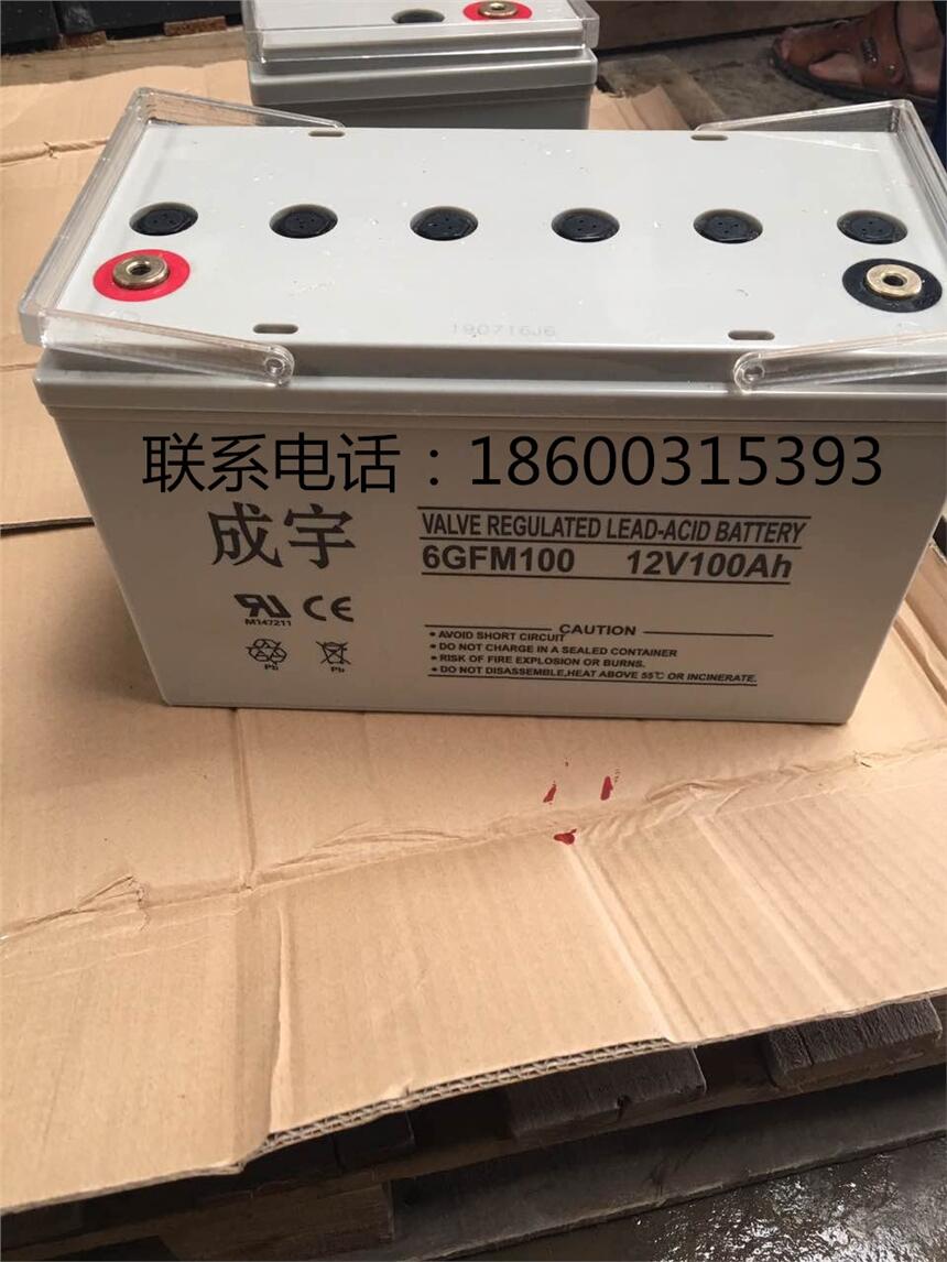 成宇蓄電池 12V100AH ups電源專用,APCUPS 電源，艾默生UPS專