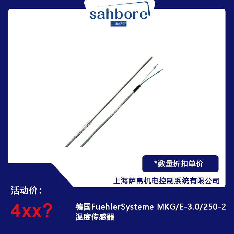 德國FuehlerSysteme MKG/E-3.0/250-2溫度傳感器