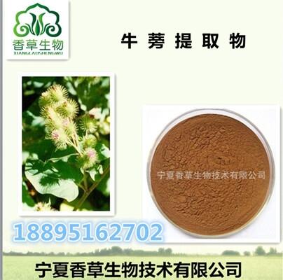 牛蒡提取物 牛蒡子甙/苷  水溶牛蒡子粉  濃縮粉  量大從優(yōu)