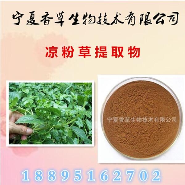 涼粉草提取物 仙人草粉食用級 涼風(fēng)草提取液 浸膏