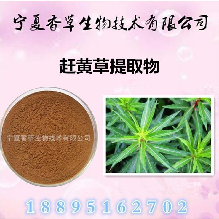 趕黃草提取物 20：1 扯根菜速溶粉 趕黃草濃縮粉 承接貼牌加工