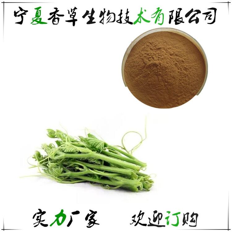 南瓜藤提取物種植基地 南瓜藤粉價格 番瓜藤萃取液寧夏產(chǎn)地