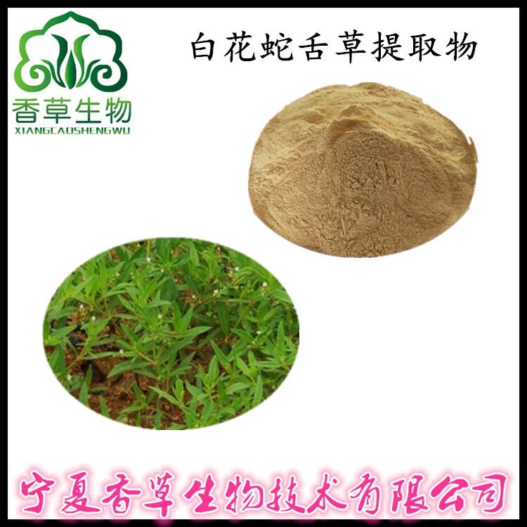 白花蛇舌草提取物 產地貨源 白花蛇舌草粉 萃取車前草甙 蛇針草速溶粉