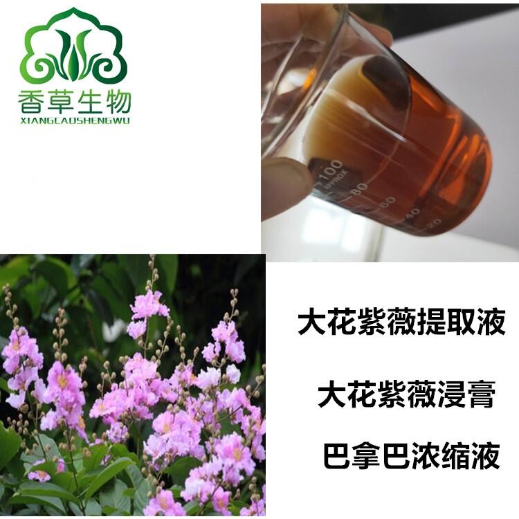 大花紫薇提取液銷售價(jià) 大花紫薇根流浸膏 巴拿巴濃縮液批發(fā)