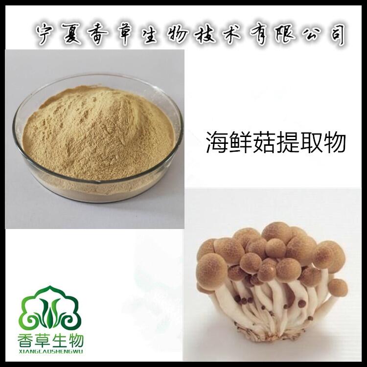 海鮮菇提取物生產(chǎn) 海鮮菇多糖50%含量 真姬菇濃縮浸膏粉供應