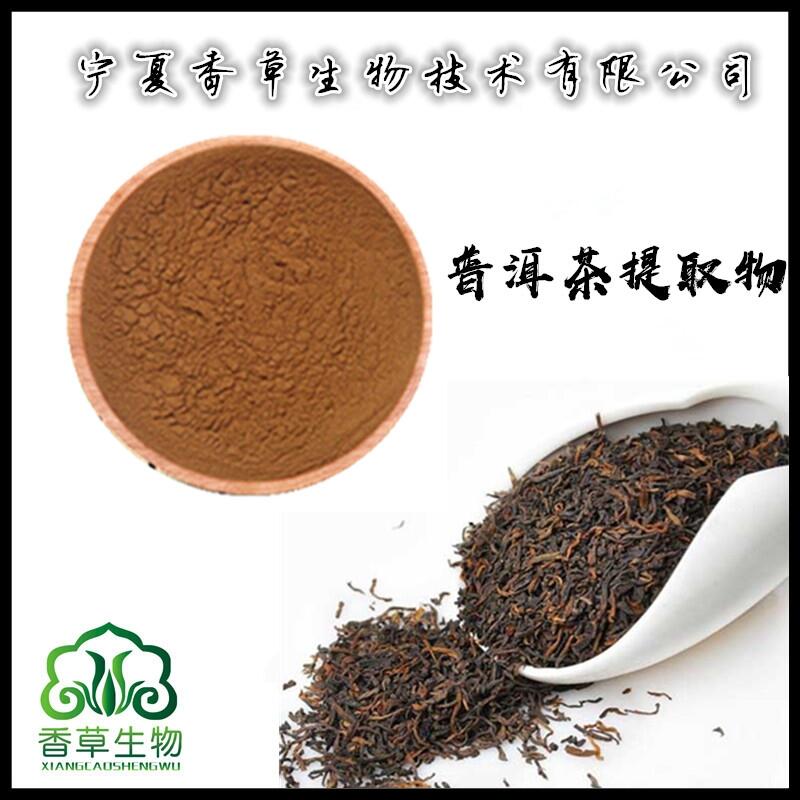 普洱茶提取物供應商 普洱茶粉 普洱茶多酚 普洱濃縮粉