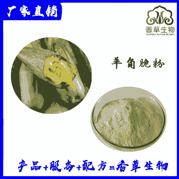 批發(fā)羊角脆粉 羊角脆汁粉  速溶羊角脆粉 甜瓜粉供應(yīng)