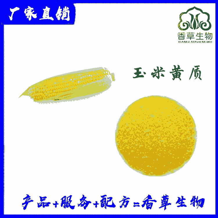 玉米黃質(zhì)5%供應(yīng) 玉米黃素 萬(wàn)壽菊提取物