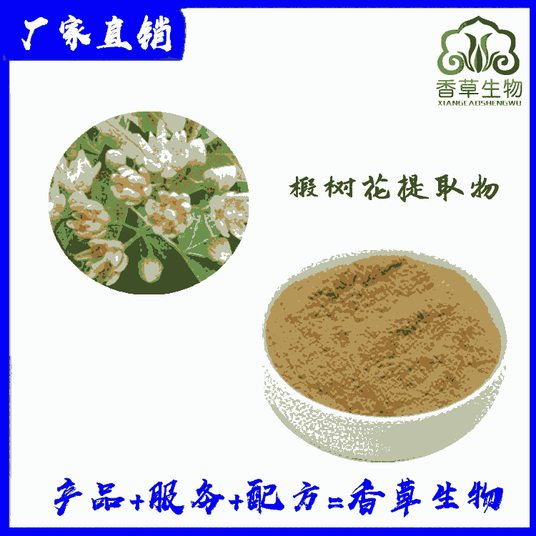 椴樹花提取物生產(chǎn) 椴樹花粉 濃縮粉 菩提樹花提取物