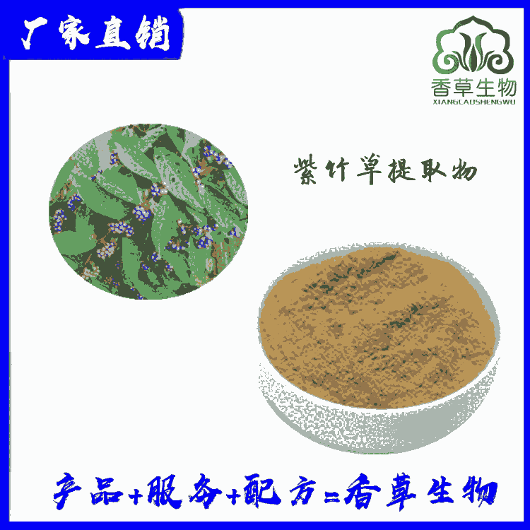 紫珠草提取物 水溶紫竹草粉 大風(fēng)葉提取物速溶粉水溶性