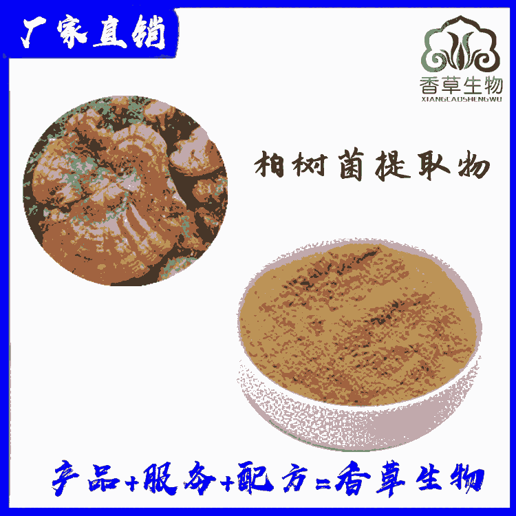 柏樹菌提取物 浸膏粉供應(yīng) 柏樹菌粉 柏樹菌濃縮粉