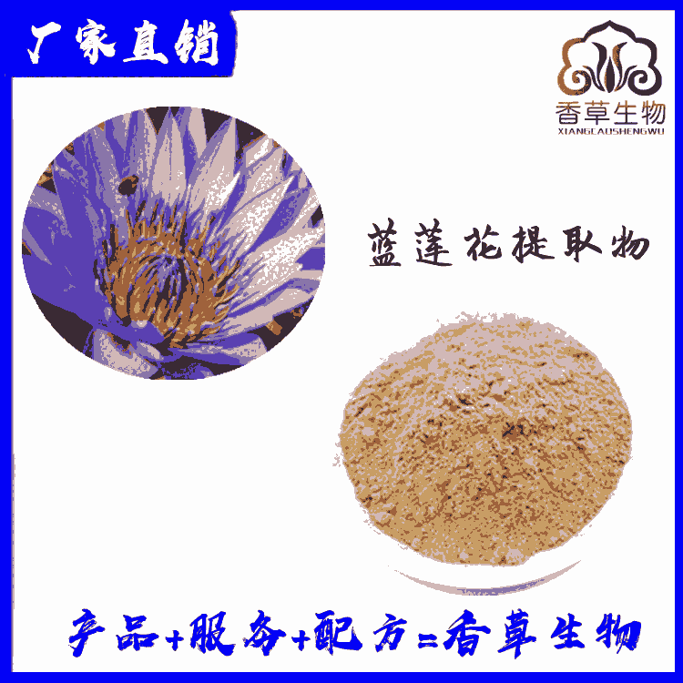 藍(lán)蓮花提取物 速溶粉水溶 連蓮花粉 連蓮花浸膏粉 寧夏廠家