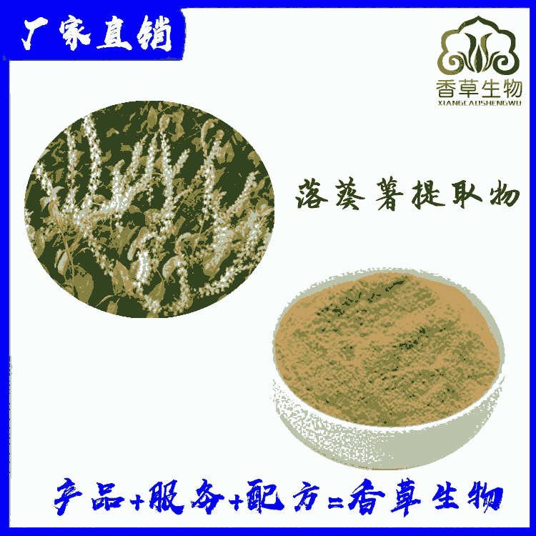 落葵薯提取物10:1 落葵薯粉 落葵薯濃縮粉水溶 落葵薯噴霧干燥粉