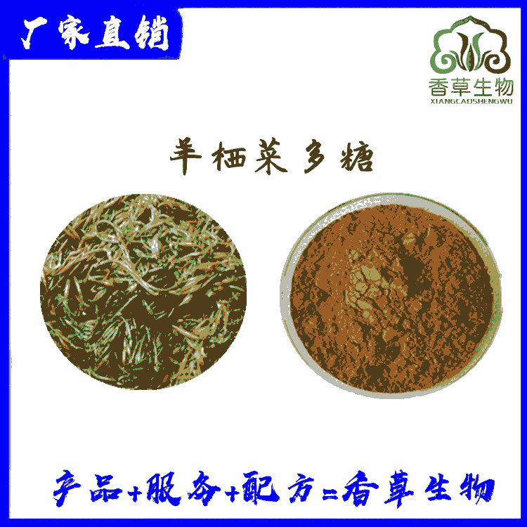 羊棲菜多糖30% 羊棲菜速溶粉 海藻多糖供應(yīng)